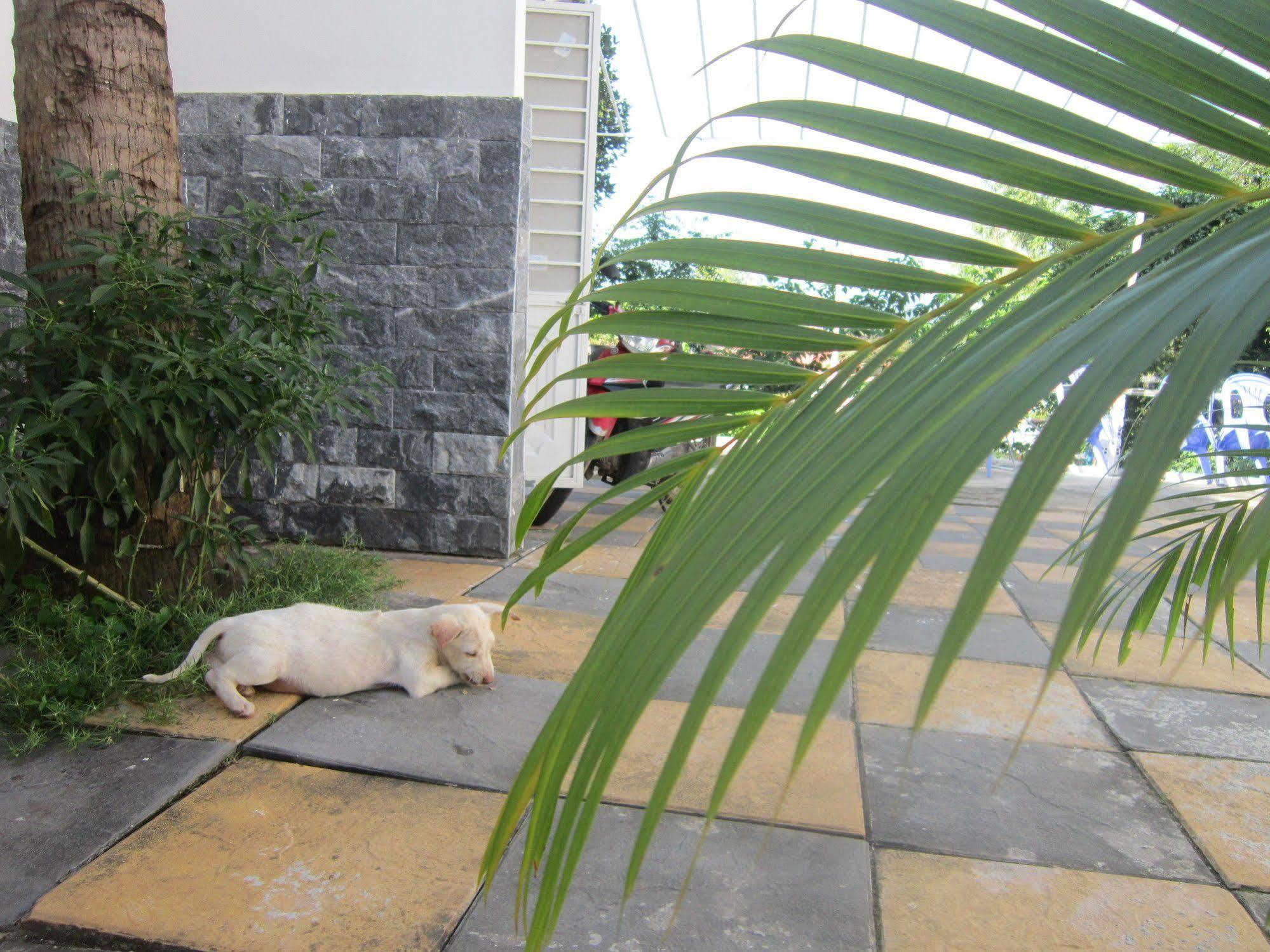 Be Home Hostel Phu Quoc Exterior photo
